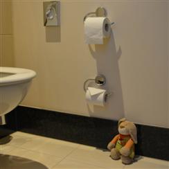 Wien 2014 - eigenes Toilettenpapier im Hotel